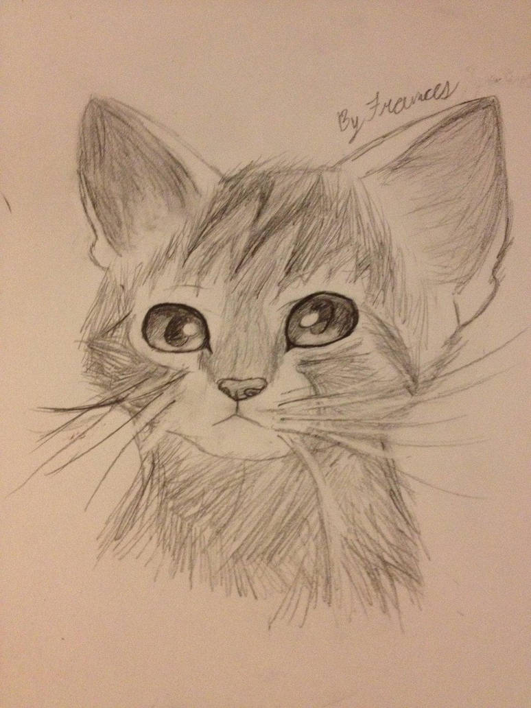 Derpy Cat Drawing ~ Cat Drawing Draw Drawings Easy Cats Pencil Sketches ...