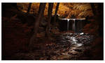 Autumn Leaves by tendence