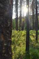 Watching... by sound-sasuke