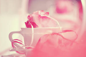 Rose... by Yvonnne92