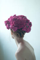 Rosa II by Yvonnne92