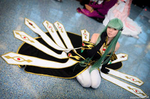 C.C. by electric-lady