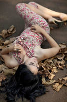 fantastic dream by russell910