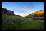 Bluebells at Eilean Donan by Pistolpete2007