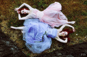 Leucippides by DeziDesire