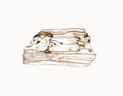Aachenosaurus multidens by briankroesch