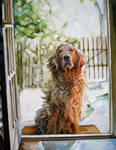 Summer Dog by HeatherHorton