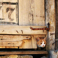 who did you look for? by lorienzeren