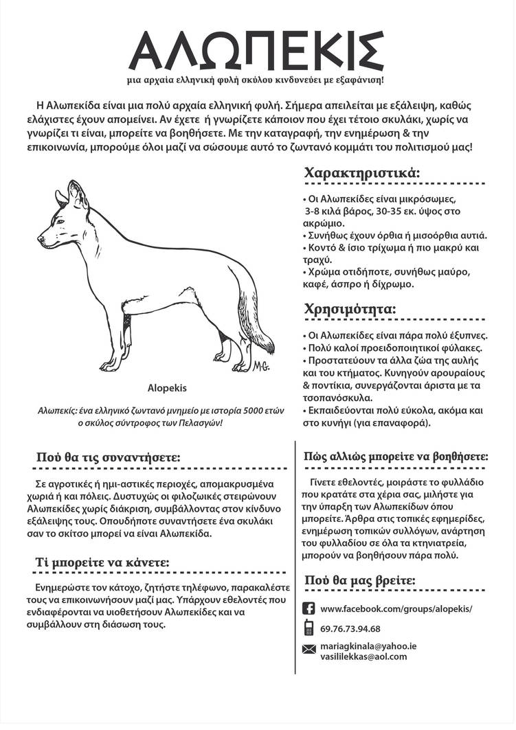Alopekis -Rare Ancient Greek Dog Breed by ftourini