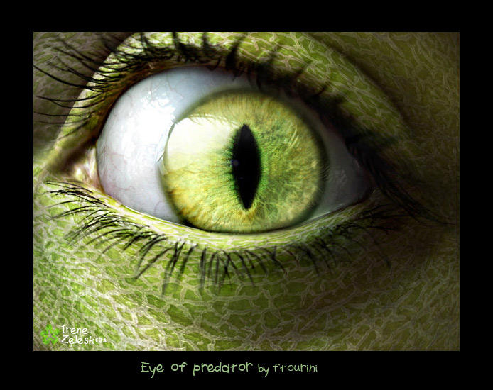 eye of a predator by ftourini