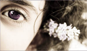 SHE'S A LADY by 5blo0oh