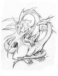 Dragon Pair by RisingDragonArt