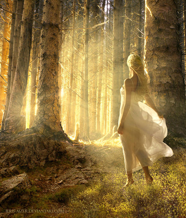 Golden dawn by Ieris-Aizer