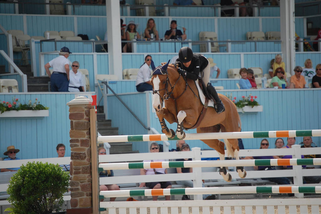 Show Jumping by simstock on DeviantArt