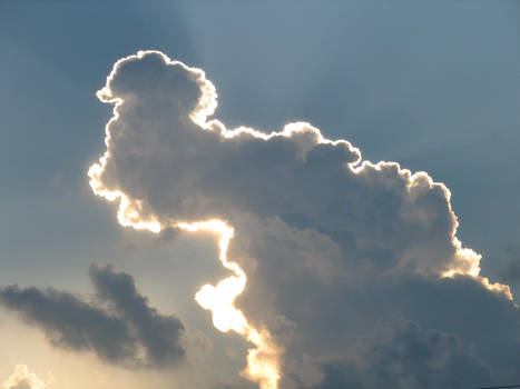 Elephant Cloud by Polly-Stock