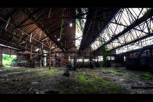 When industry goes green by bubus666