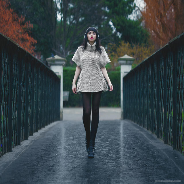 pigeon by nikosalpha