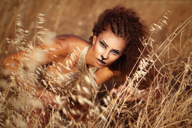 Lioness by nikosalpha