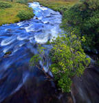 Water Flow by Hamrani