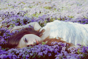 violet flowers by Malvina-Frolova