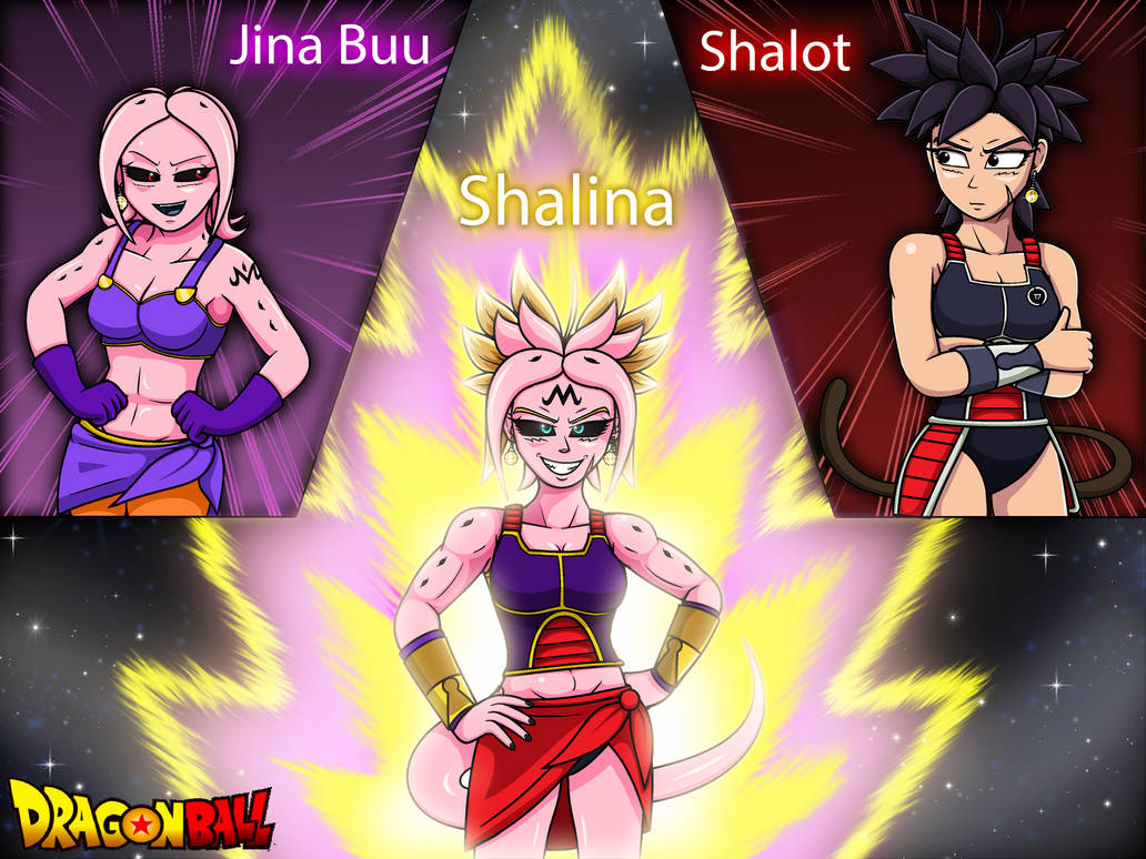 Dragon Ball Fusion Partners in Time by playingames6 on DeviantArt