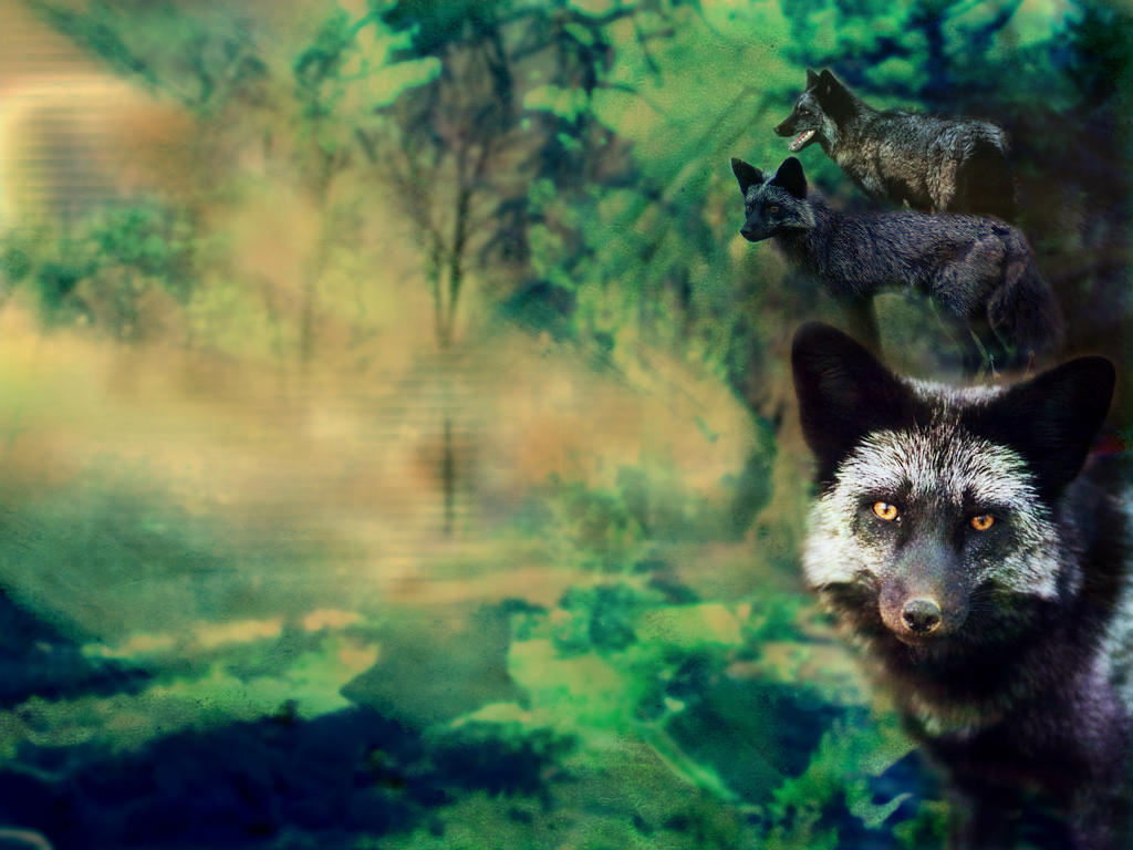 Pocket fox__ Run--textless by thus-sung