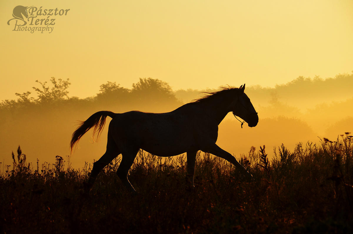 The lights of the dawn by Hikari-kirin