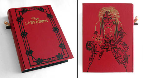 Labyrinth- hideaway book box by RFabiano