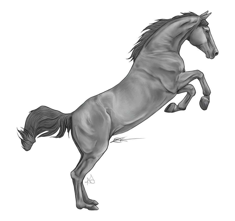 Jumping Horse By Chronically Greyscale by AquaSalt