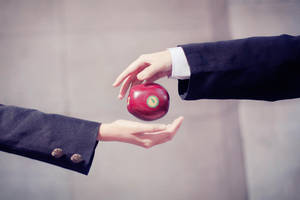 Mawaru Penguindrum - the forbidden fruit by Phoenixiaoio