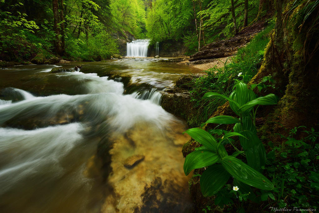 Fresh Green by matthieu-parmentier