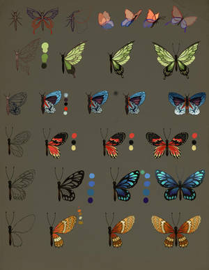 How To Draw Butterfly by jiuge How To Draw Butterfly by jiuge
