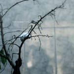 Sleeping by 3wyl