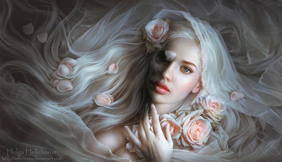 The Philosophy of Life by Helga-Helleborus The Philosophy of Life by Helga-Helleborus