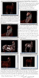 Horse Detailing Tutorial by Peachesrox by peachesrox