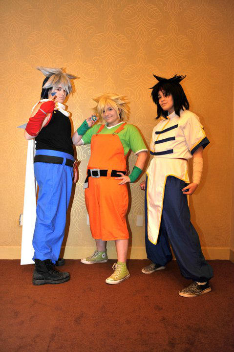 Phoenix, Turtle and Tiger. by Angelic-Nirvana