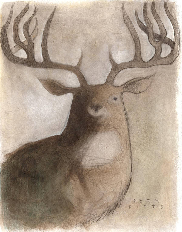 Deer by SethFitts