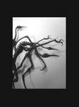 les Eryths II by aeko