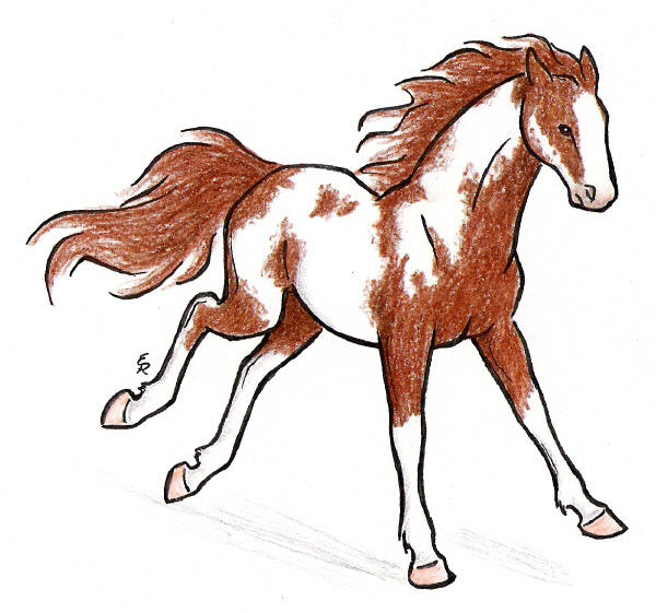 Hidalgo by WildSpiritWolf