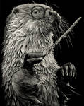 Harry Otter by rainyXskyz