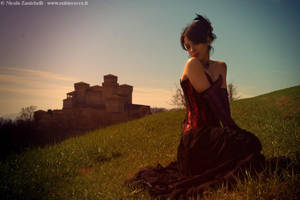 The castle by LaudanumDoll