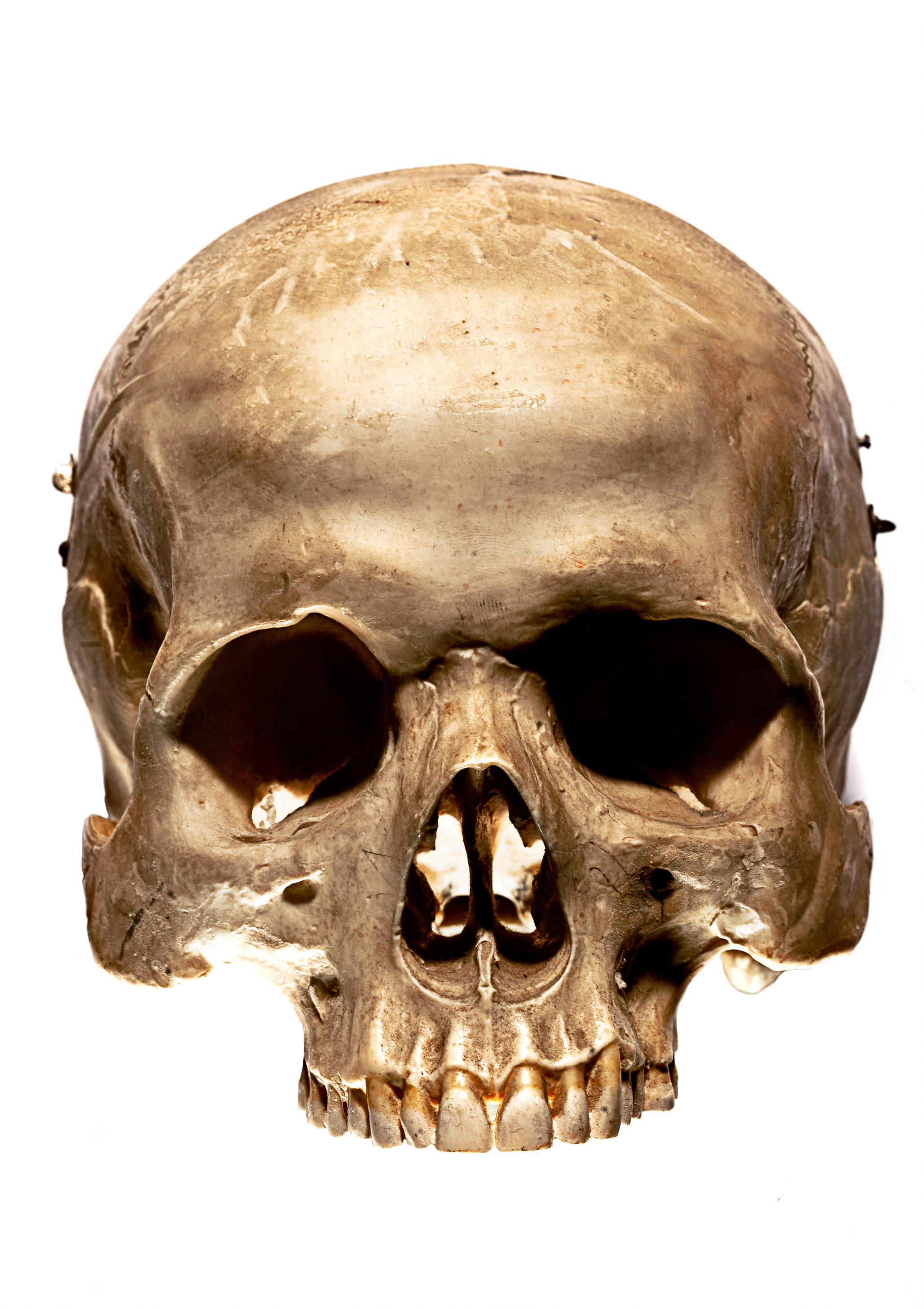 Skull by TheManface