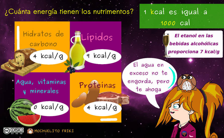 Energia en los nutrimentos by Mochuelitofriki