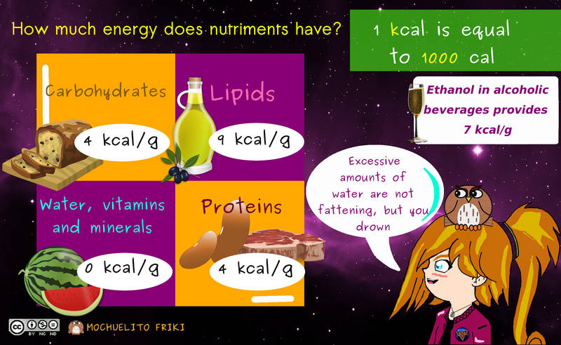 Energy in nutriments by Mochuelitofriki