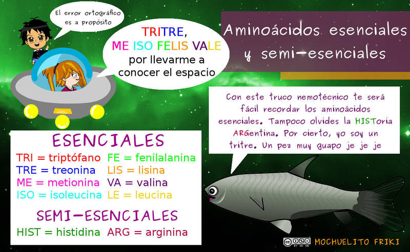 Truco mnemotecnico: Aminoacidos by Mochuelitofriki