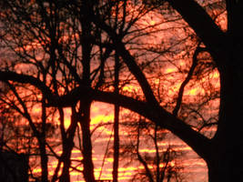 Burn by CallistoSangre