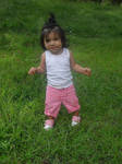 Walking in the grass 1 by Seegster