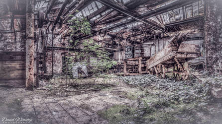 Reclaimed by nature by Vitaloverdose