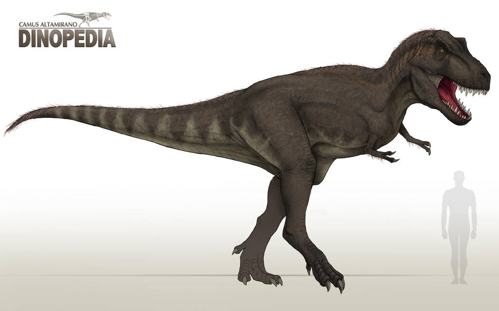 Tyrannosaurus rex by CamusAltamirano