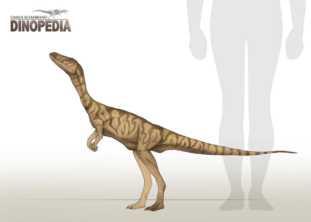 Segisaurus halli by CamusAltamirano